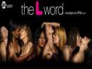 haz click para ver mas detalles de  SERIE THE L WORD EN DVD